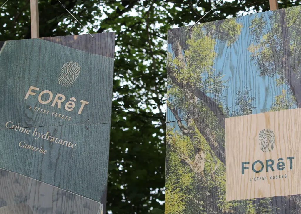 Impression couleur sur bois - Design vibrant et écologique.webp