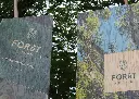 Impression couleur sur bois - Design vibrant et écologique.webp